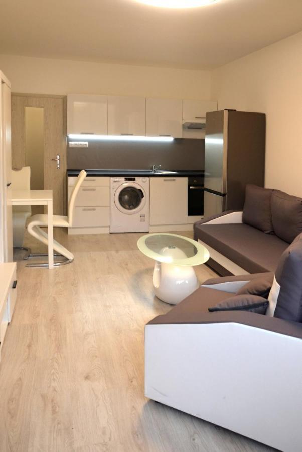 Útulný apartmán v centru, s krásným výhledem Decin Exterior foto