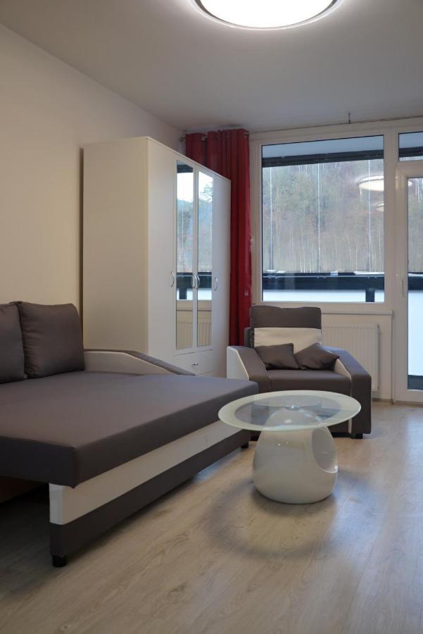 Útulný apartmán v centru, s krásným výhledem Decin Exterior foto