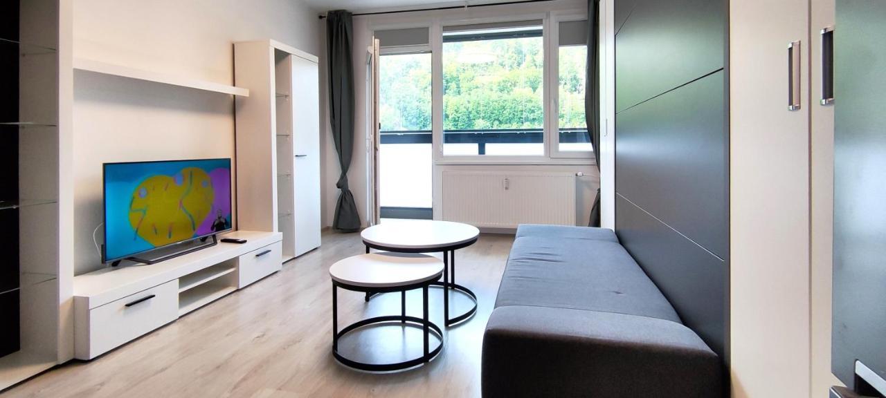 Útulný apartmán v centru, s krásným výhledem Decin Exterior foto